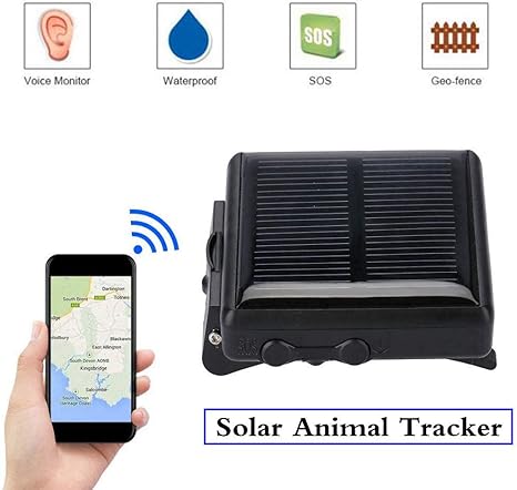 amazon camel tracker