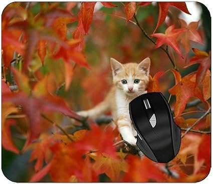 Amazon オフィスのマウスパッドの猫はステッチされた端が付いている猫秋のマウスパッドを残します Yendosteen マウスパッド 通販