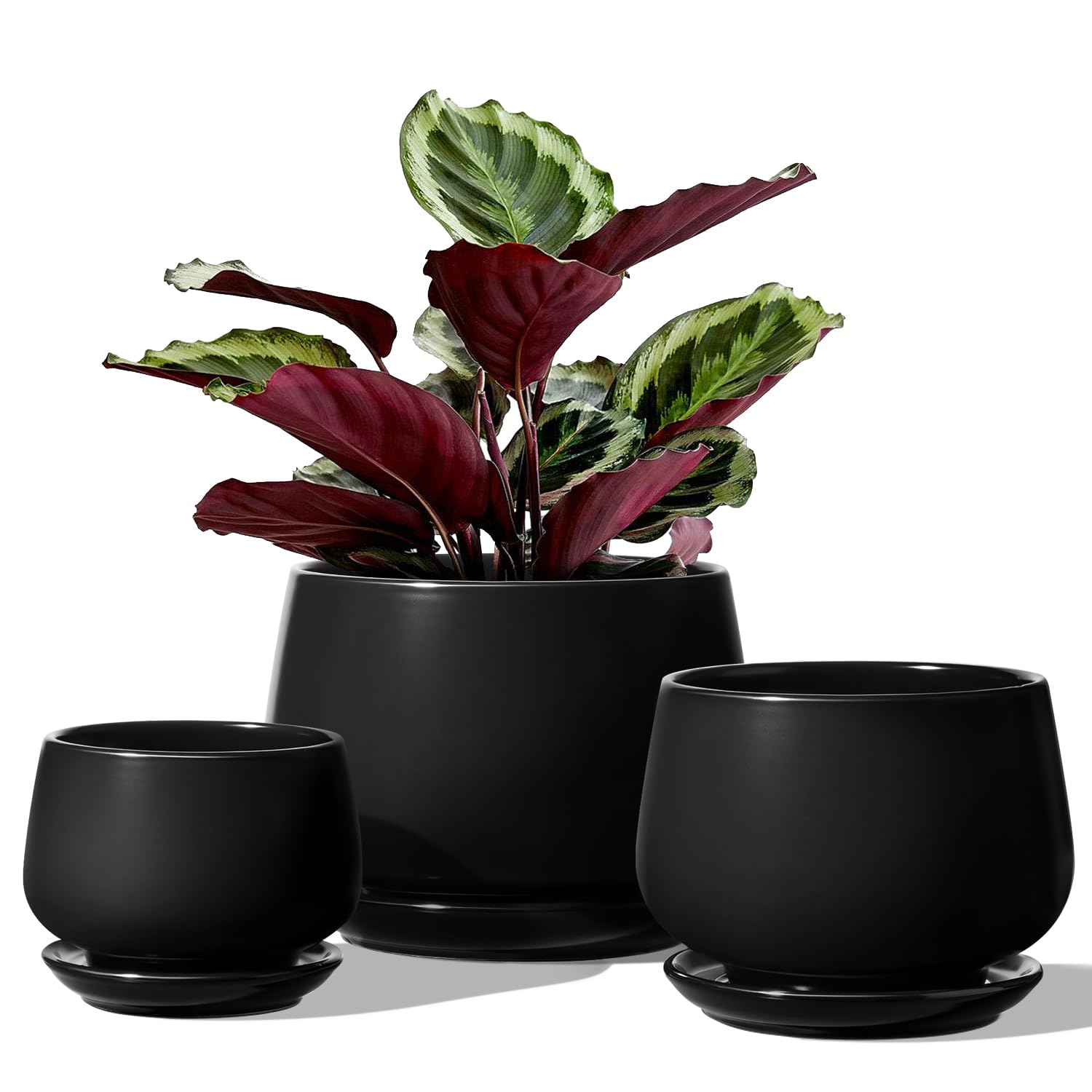 LE TAUCI Plant Pots, 10+13+16 cm Planters, Set of 3 Ceramic Planters with Drainage Hole and Saucer, Indoor Plant Pot with Hole Mesh Pad, Gifts for Mom, Black — image 1