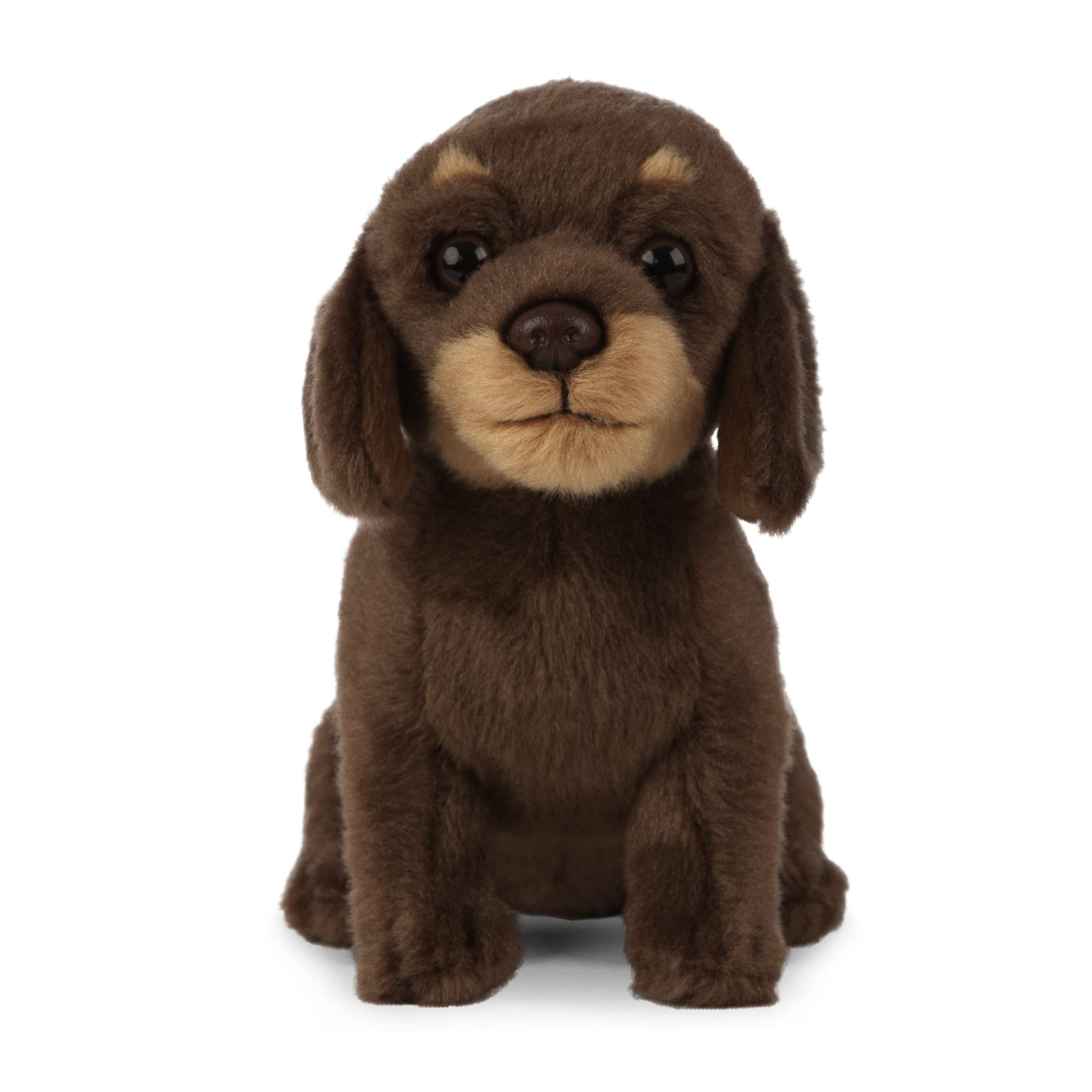 Living Nature Soft Toy - Plush Sausage Dog Dachshund Puppy, Brown, 16cm — image 1