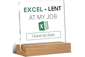 WEZADUK Accountant Gifts for Women Men, Funny Office Gift, Spreadsheet Gifts for Accounting Coworkers, I Know My Sheet Office Decorative Signs Plaque for Desk