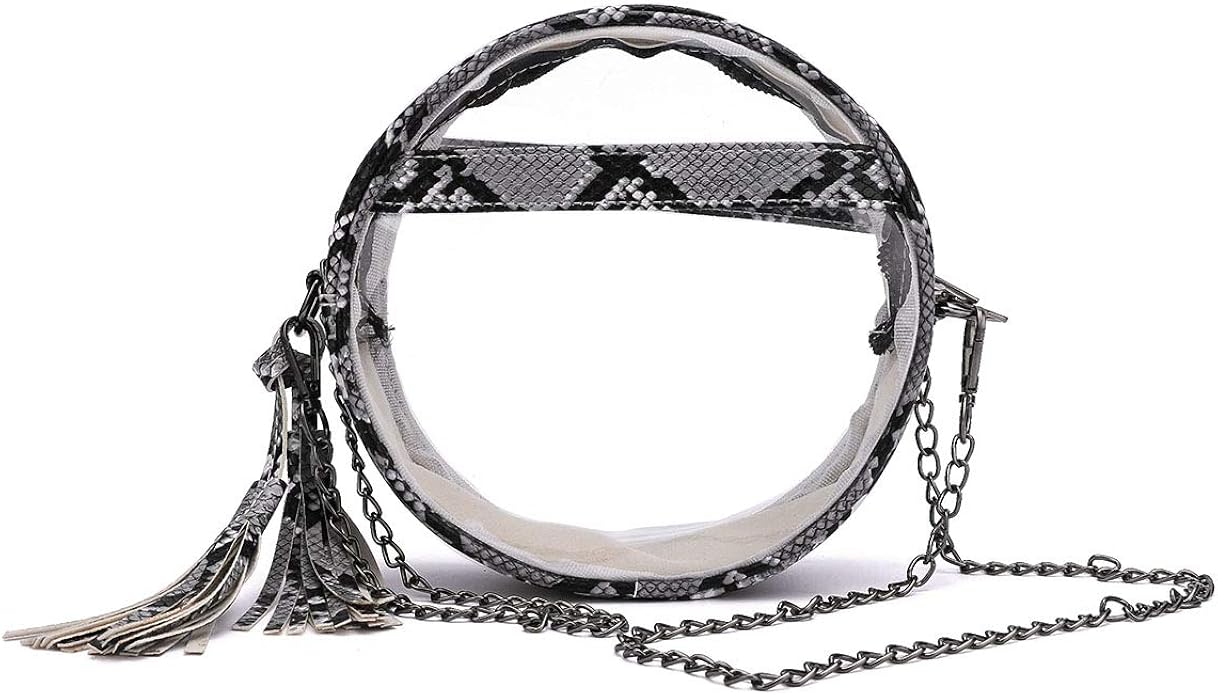 clear snakeskin purse