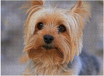 yorkie puzzles