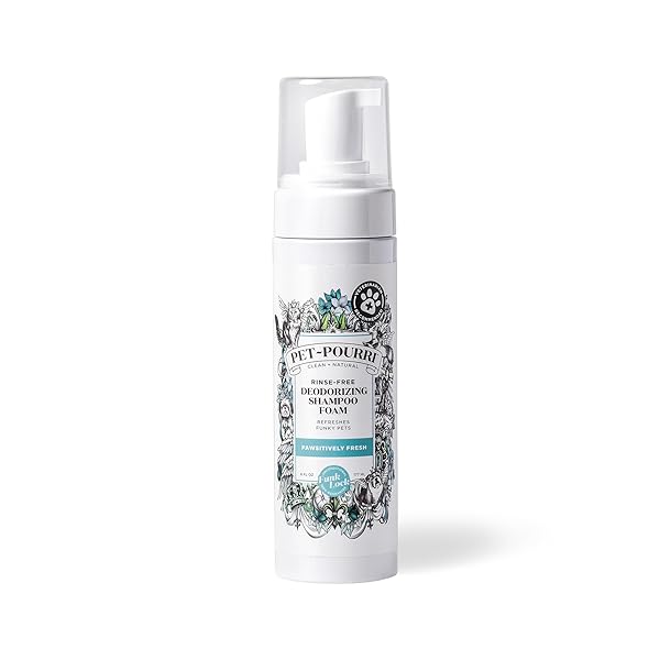 POO-POURRI RINSE-FREE DEODORIZING DRY SHAMPOO FOR DOGS & CATS – MOISTURIZING SKIN & COAT SOOTHING FORMULA – PLANT BASED INGREDIENTS – PINEAPPLE, JASMINE & PEAR – NO RINSE FOAM SHAMPOO FOR PET ODOR