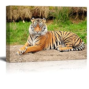 Royal Bengal Tiger Photography - Canvas Art