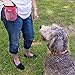 barkOutfitters Dog Treat Pouch - Dog Treat Training Pouch - Treat Bags for Dogs, Easily Carries Snacks and Pet Toys, Dog Puppy Food Container with Mesh Pocket, Professional Quality Pouch (Blue)