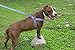 Best Step In No Pull Dog Harness for Large & Medium Size Breeds, Fits on Chest Girth Sized (1.0