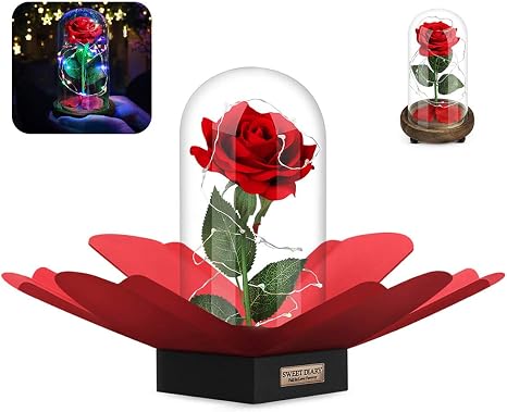 Amazon Sweet Diary 美女と野獣のバラ 造花 レッドシルクローズ Diy 落ちた花びらとrgb ホワイトledライト ガラスクラシック木製ベース 装飾 パーティー 結婚記念日 誕生日 造花 オンライン通販