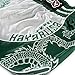 Hayabusa Sacred Muay Thai Shorts