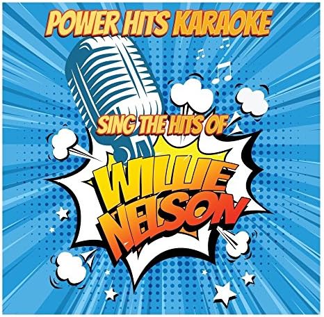 Sing The Hits Of Willie Nelson