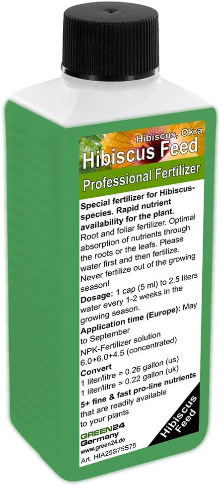 Hibiscus, Okra, Abelmoschus Plant comida – fertilizante líquido ...