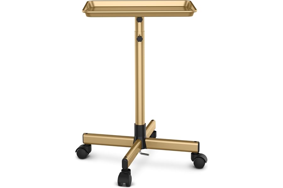 TASALON Premium Salon Tray on Wheels, Aluminum Salon Rolling Tray Trolley for Salon Essentials, Adjustable Height Provides Ample Storage for Hairstylist Tray, Tattoo Tray and Clinic Tray Use – Gloden