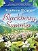 Blackberry Summer (Hope's Crossing Book 1)