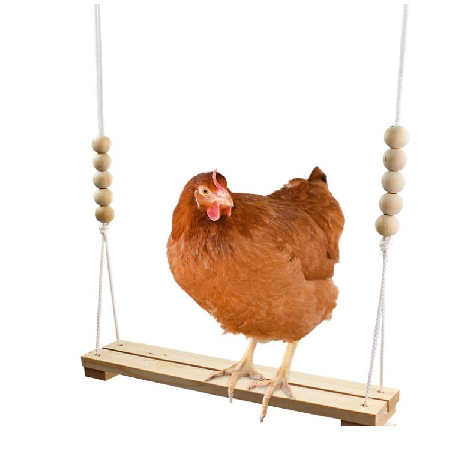 AOVNA Chicken Swing Wooden Hanging Swing Durable Chicken Swing Perch Hanging Toy for Chicken Bird