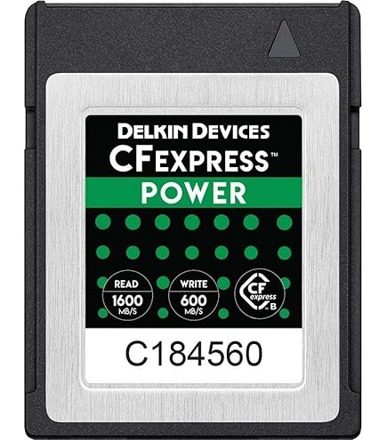 Amazon.com: Delkin Devices 256GB CFexpress Type B G4 Memory