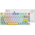 EPOMAKER TH80 Pro 75% Hot Swap RGB 2.4Ghz/Bluetooth 5.0/Wired Gaming Keyboard, with 4000mah Battery, PBT Keycaps, Knob Control for Windows/Mac PS5 PS4 Xbox