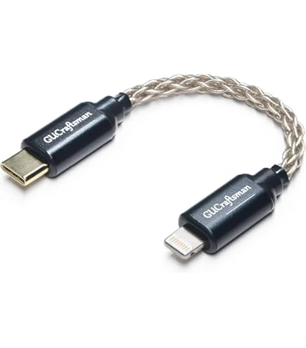 Amazon.com: SHANLING L3 USB-C to L OTG DAC Adapter Cable, for