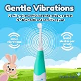 Brush-Baby BabySonic Teal Electric Toothbrush 0-36 Months Soft Bristles view 4
