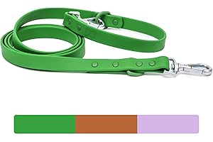 Waterproof Dog Leash | BearBone Double Ended Dog Leash | PVC Rubber Dog Leash with Dual Clip for Versatility | Green Dog Leash for Medium Dogs and Large Dogs (Green, Medium)