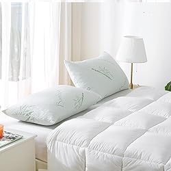 HOXXME Shredded Memory Foam Pillows for
