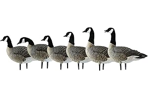 Avian-X AXP LESSERS: Active Pack