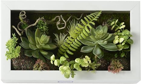Amazon 3d人工花壁ハンガー多肉植物石の上の苔フレームの花瓶の壁の装飾 白いフレームとシダ 人工観葉植物 オンライン通販