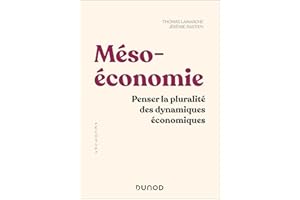 Mésoéconomie: Penser une économie politique, industrielle et territoriale (French Edition)