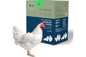FLYGRUBS 5 lb Dried Black Soldier Fly Larvae - High-Calcium Chicken Treats for Laying Hens and Wild Birds - Nutrient-Rich Mealworm Alternative - Supports Feather Growth and Strong Eggshells