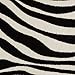 Sunbeam Heated Throw Blanket | Microplush, 3 Heat Settings, Zebra - TSM8TP-R901-25B00