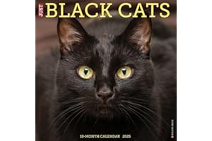 Just Black Cats 2025 12" x 12" Wall Calendar