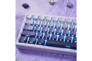 PBT Doubleshot Keycaps 134 Keys Gradient Purple Backlit OEM Profile Keycaps Full Set Custom Keyboard Keycaps for 60% 65% 75% 