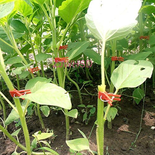 Pruning Tools 100Pcs Durable Plastic Grafting Clips Garden Vegetable Flower Vine Bushes Plants