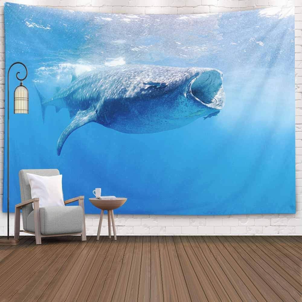 KIOAO Tapestry Wall Art Dorm Tapestry,Tapestry for Women College Tapestry Whale Sharks Blue Waters Mexico Isla Mujeres Dorm Room Tapestry 80X60Inch Tapestry for Man