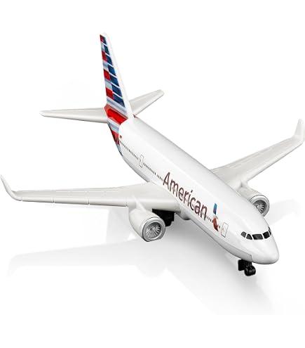 Amazon.com: Joylludan New Zealand Model Airplane for Collection