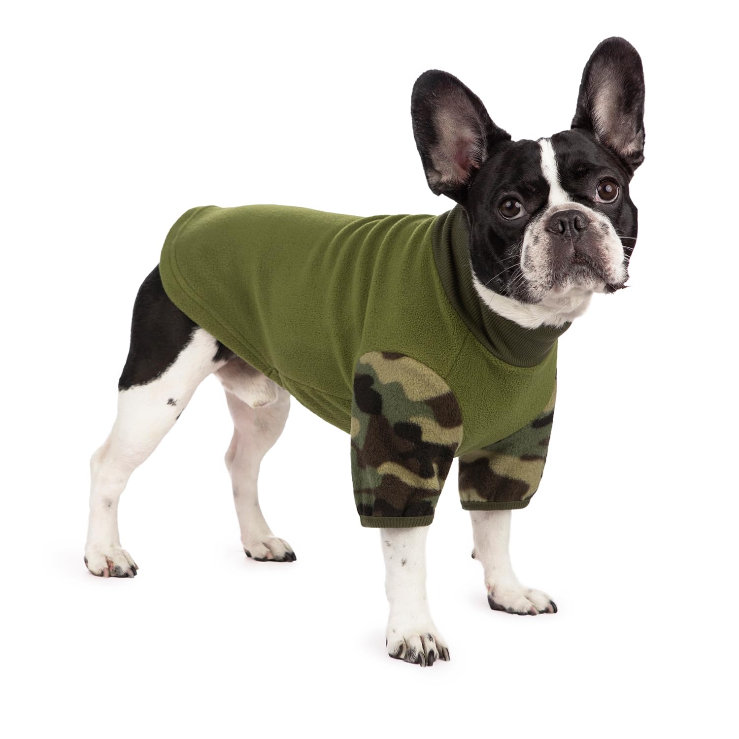 BT Bear Dog Warm Coat,Pet Polar Fleece Sweater Jumper Coat,Pet Winter Sweatshirt Pullover Dog Jacket Hoodie for Small Dogs Medium Dogs(L, Green)