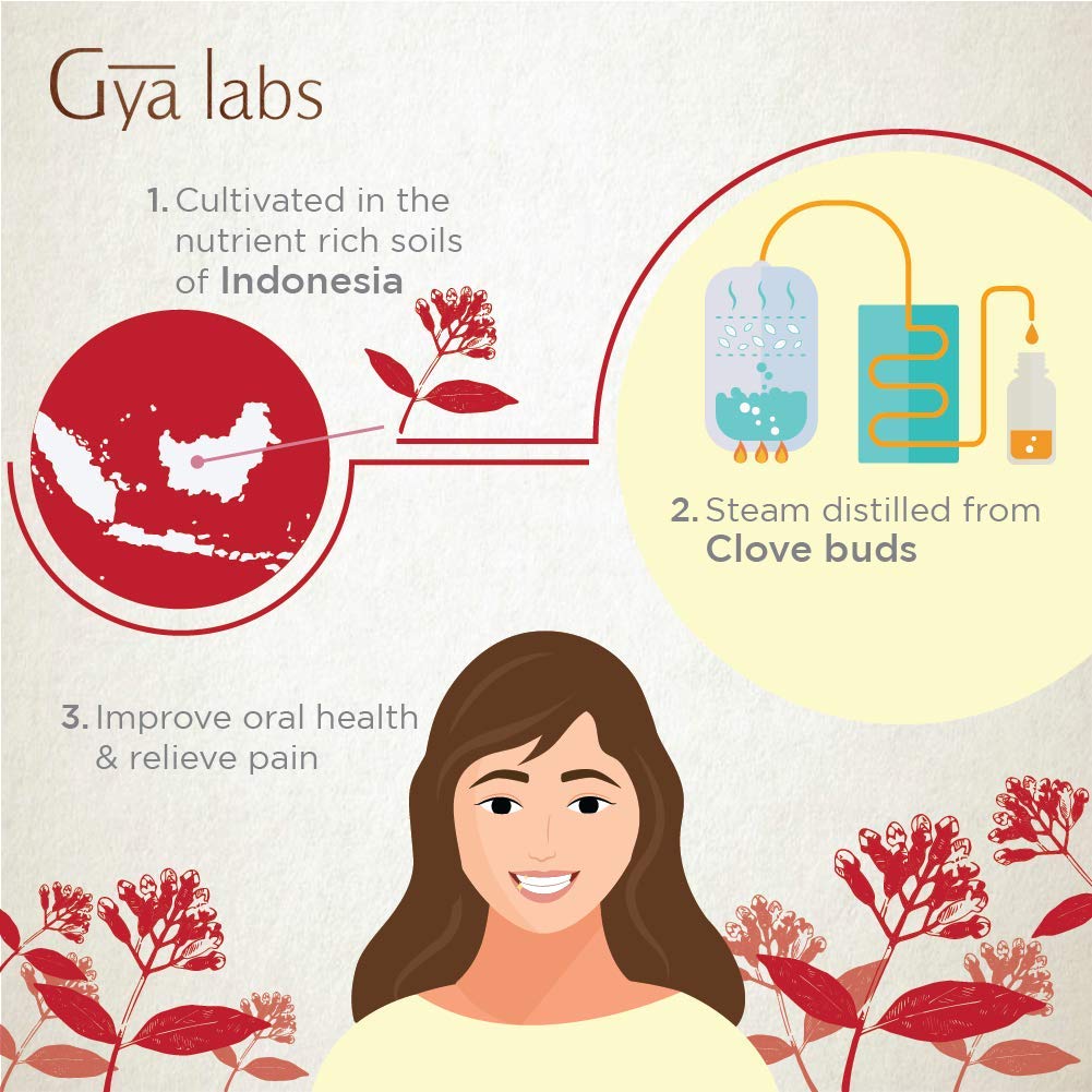 Gya Labs Clove Essential Oil - Great for Toothache & Better Oral Care - Muscle Pain Relief, Nausea Relief & Acne Treatment -100% Pure Natural Therapeutic Grade for Topical Use & Aromatherapy - 10ml: Beauty