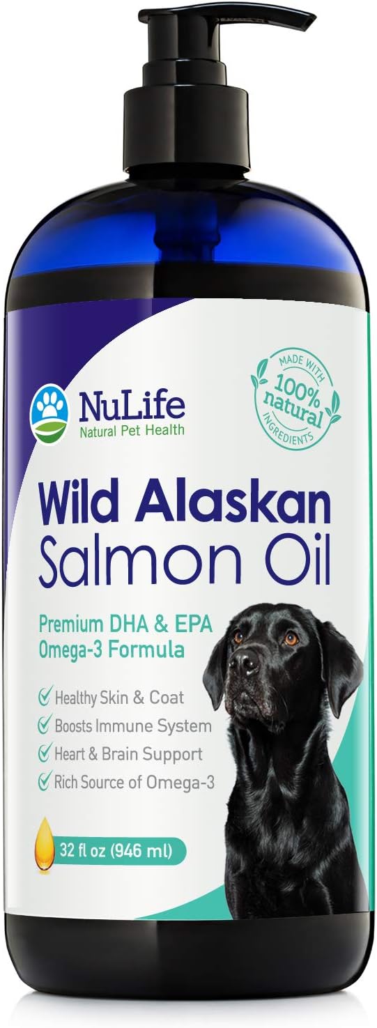 small bird cage walmart