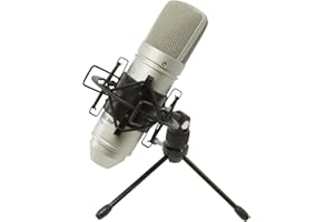 Tascam TM-80 Large Diaphragm Condenser Microphone, Silver