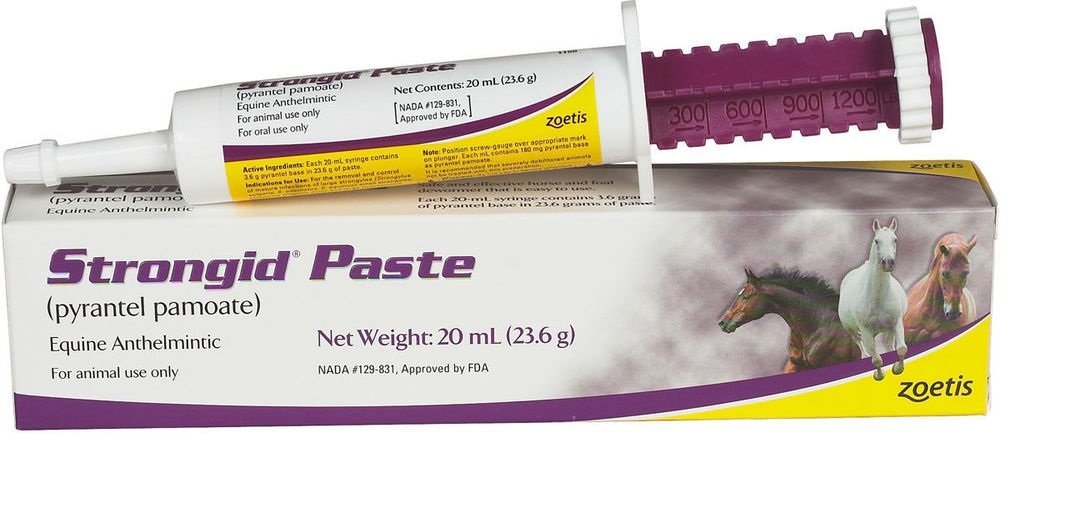 Pfizer Strongid Dewormer Paste for Horses, 23.6gm 87219711569 eBay