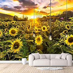 Wall Murals for Bedroom Beautiful Pictures Collection Removable Wallpaper Peel and Stick Wall Stickers - 66x96 inches