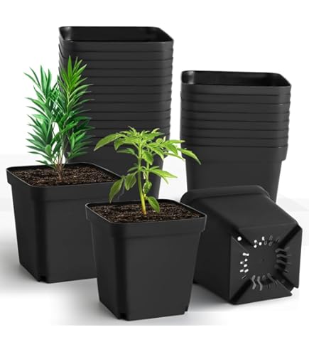 JOIKIT 60 Pack 4 Inch Black Square Nursery Pot, Plastic Square