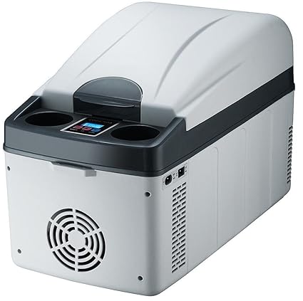 Amazon.es: GEGEQUNAERYA Nevera de coche (20 L/12 V, aislante de ...