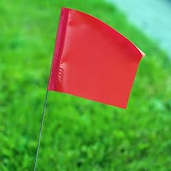 Zozen 100Pack Red Marking Flags, Writable/15x4x5