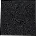 American Crafts 12 x 12 in. Cardstock Duotone Glitter Black (15 sheets)
