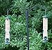 Ashman Bird Feeder Green Color (1 Pack), Metal Top and Bottom, Spacious Design, Attractive & Long Lasting, Fill it with Sunflower Black Oil Seeds, Clean and Fill, Great Gift for Friends and Family.