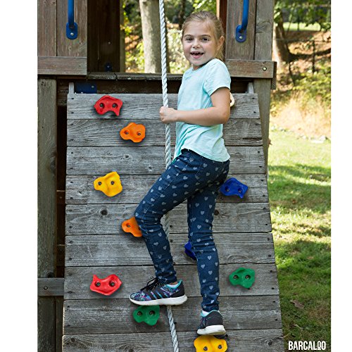 Deluxe Rock Climbing Holds with Mounting Hardware 10 Large Rock