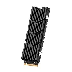 Awxlumv M.2 Heatsink NVMe SSD PS5 Heat Sink