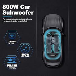 litillbuly 10 Inch 800W Car Subwoofer,Slim Under