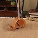 Natural Wooden Creative Cute cell Phone Stand/ Holder For Iphone Ipad Samsung Phone Tablet Plate PC Elephant)