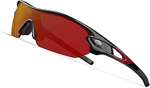 Best Polarized Sunglasses for the Money